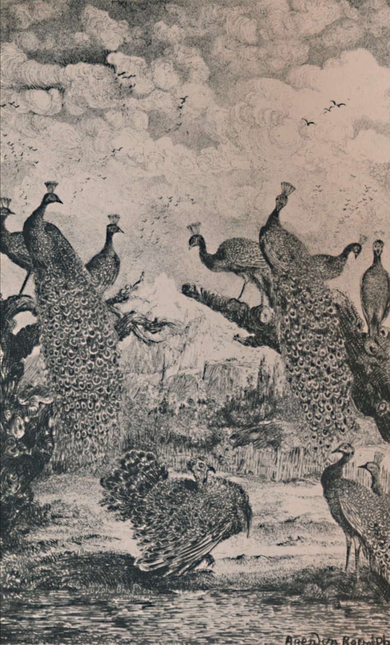 Los Pavos Reales, 1869, 1946 de Rodolphe Bresdin