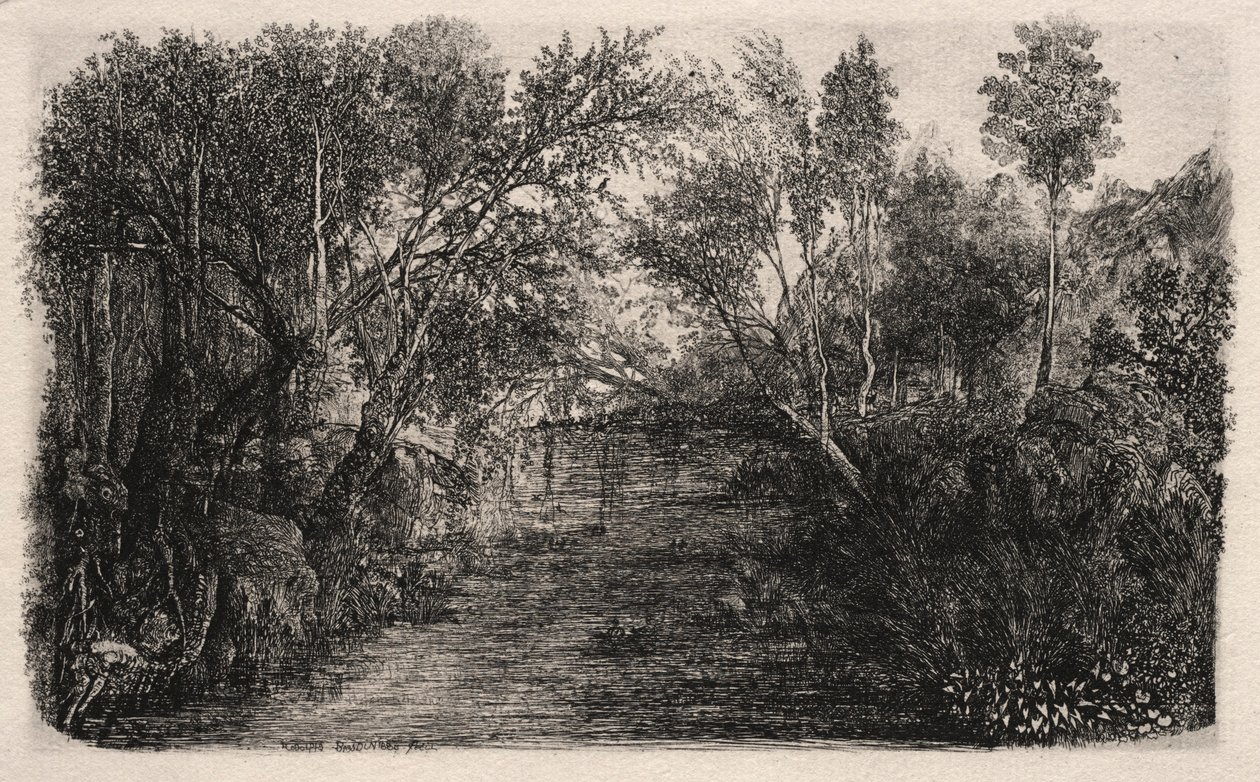 El Arroyo, 1880 de Rodolphe Bresdin