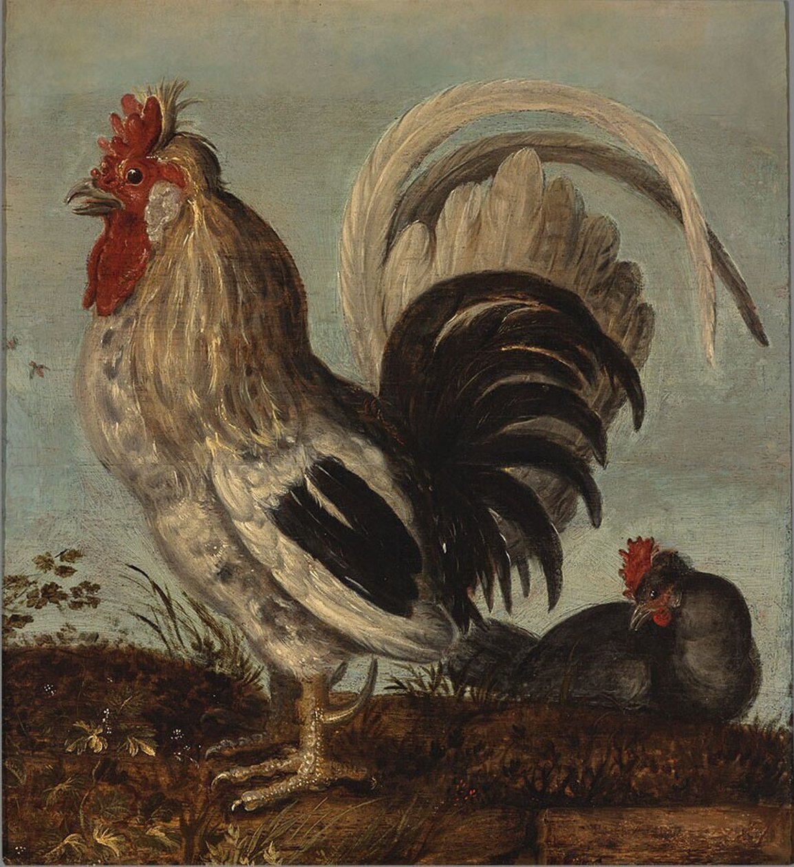 Un gallito de Roelandt Jacobsz. Savery
