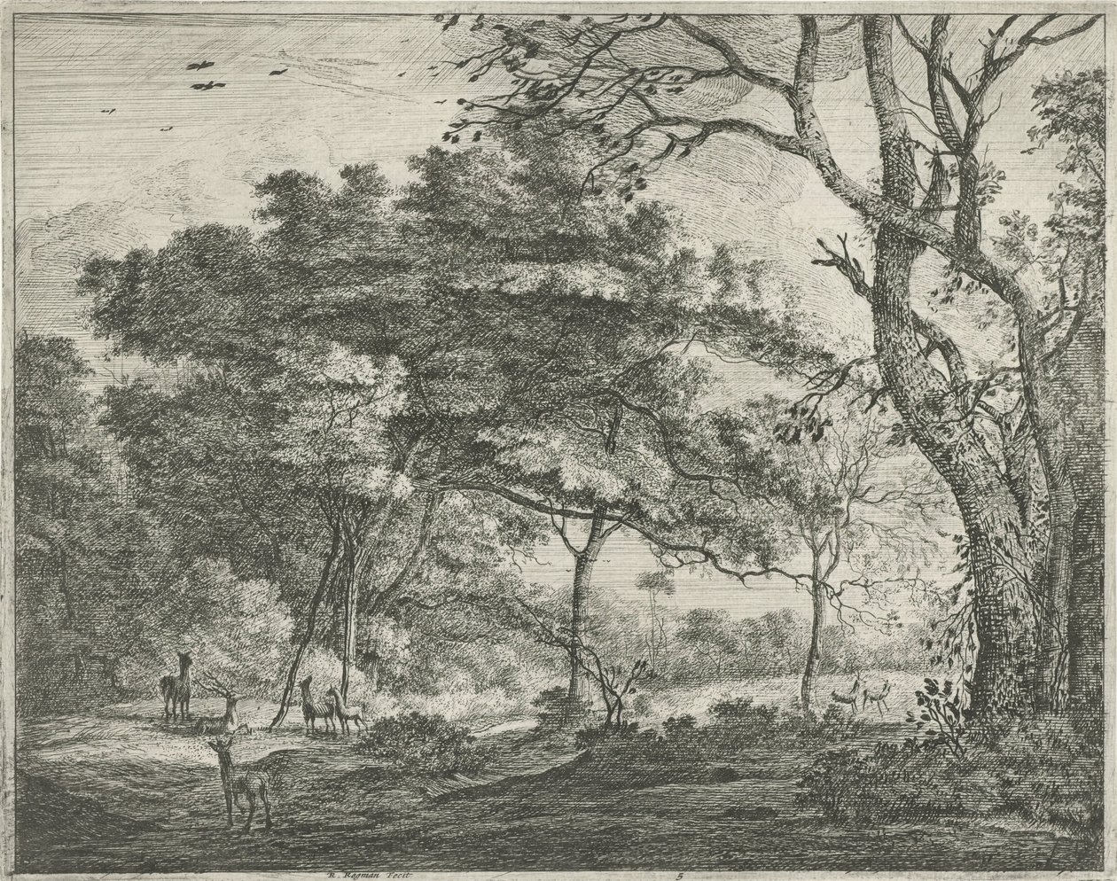 Ciervo en el Bosque de La Haya de Roelant Roghman