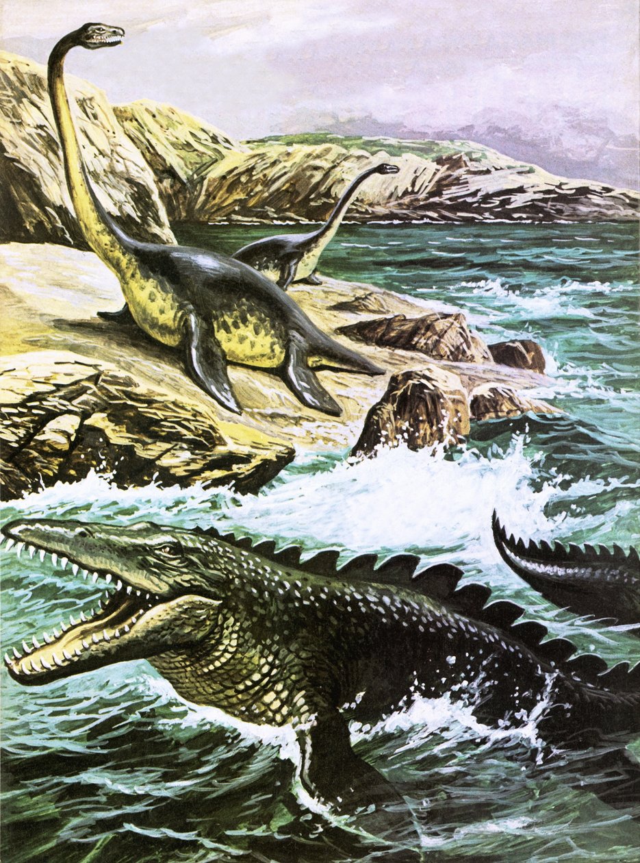 Plesiosaurus (arriba) y Tylosaurus (abajo) de Roger Payne