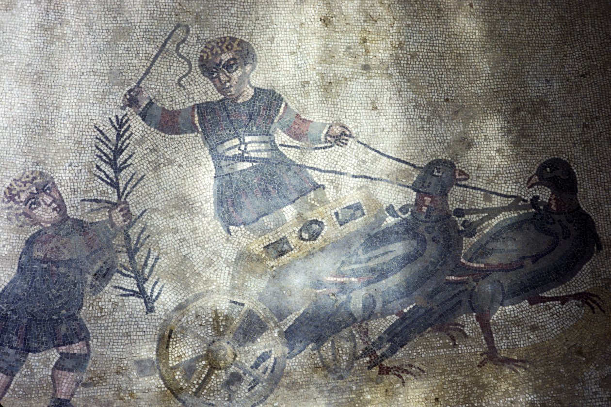 Auriga de pájaros (mosaico) de Roman