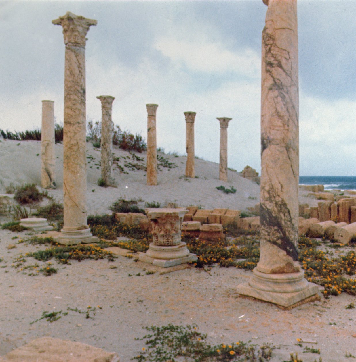 Excavaciones en las dunas de Roman