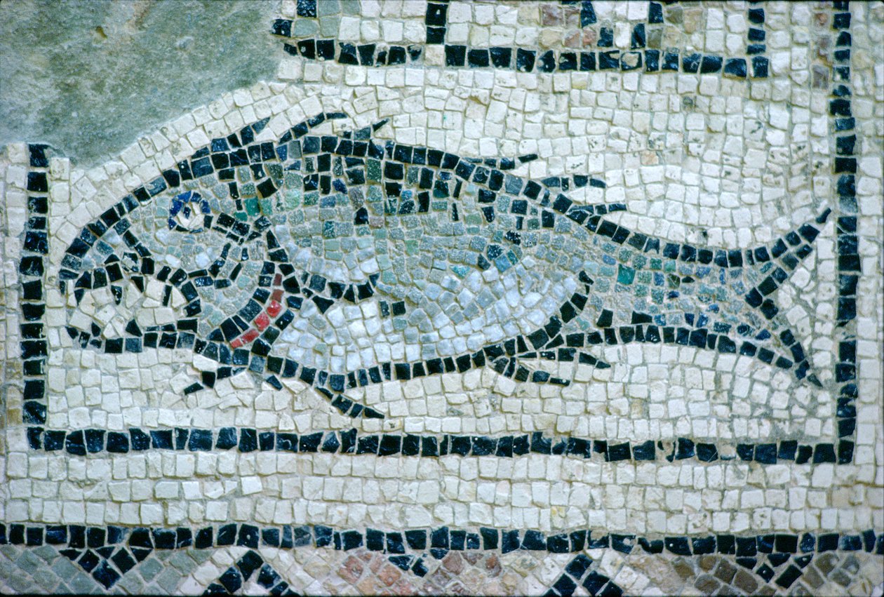 Peces en un suelo romano (mosaico) de Roman