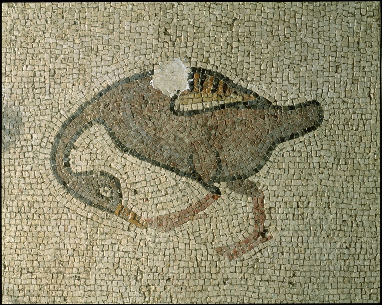 Piso de una basílica de Roman