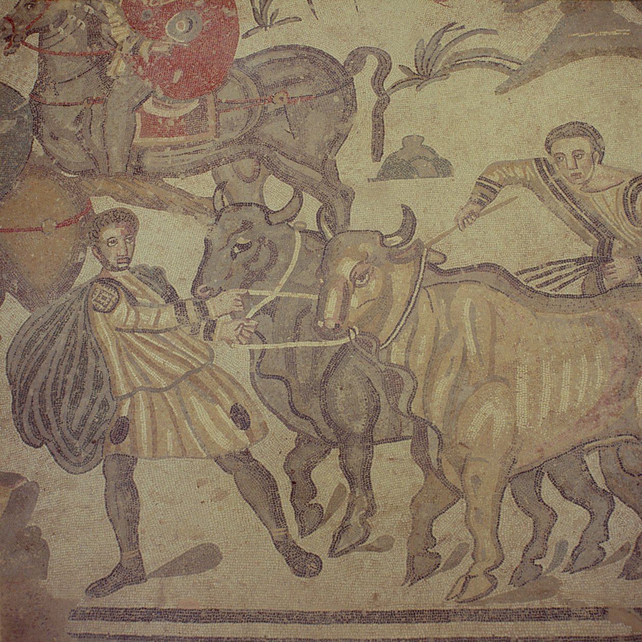 Bueyes transportando agua, mosaico romano, principios del siglo IV de Roman