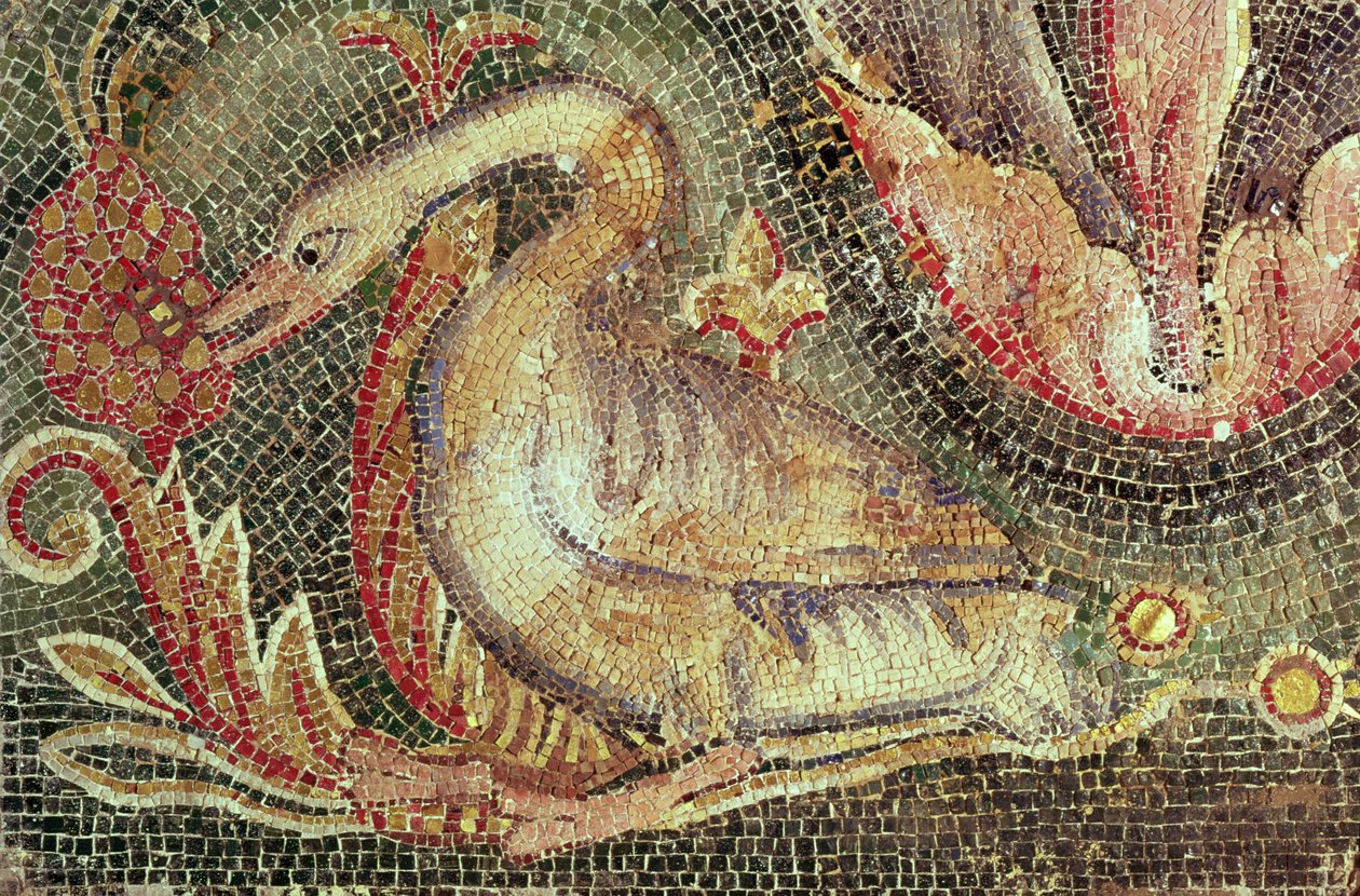 Cisne, restaurado c.1200 de Roman