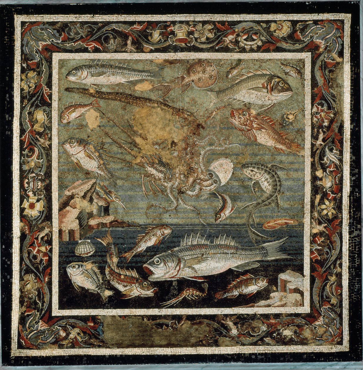 Vida marina (mosaico) de Roman