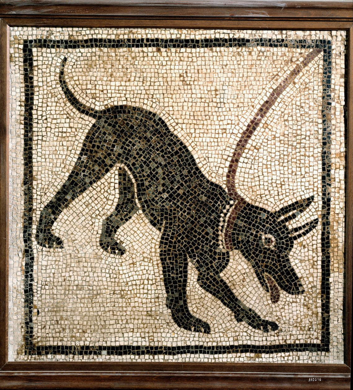 Arte romano: "canem cave" de Roman