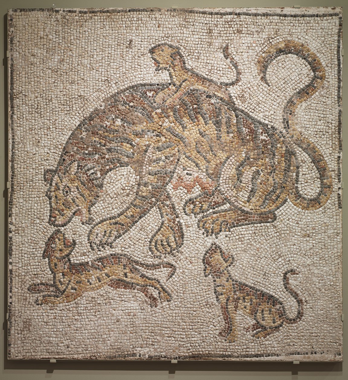Tigresa y cachorros, c.300 d.C. de Roman