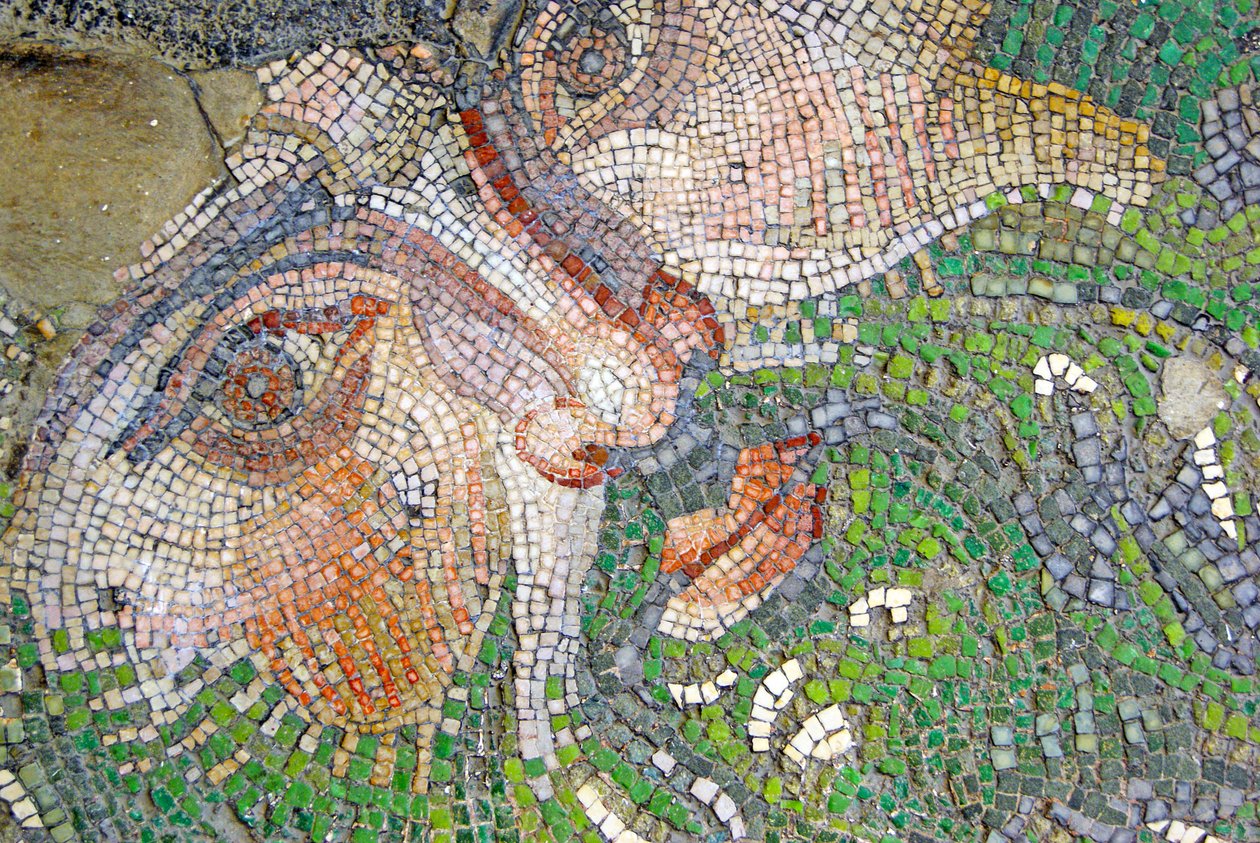 Imagen desconocida de Roman