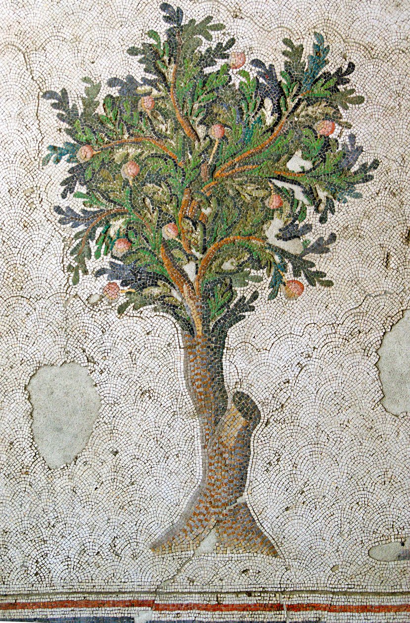 Imagen desconocida de Roman