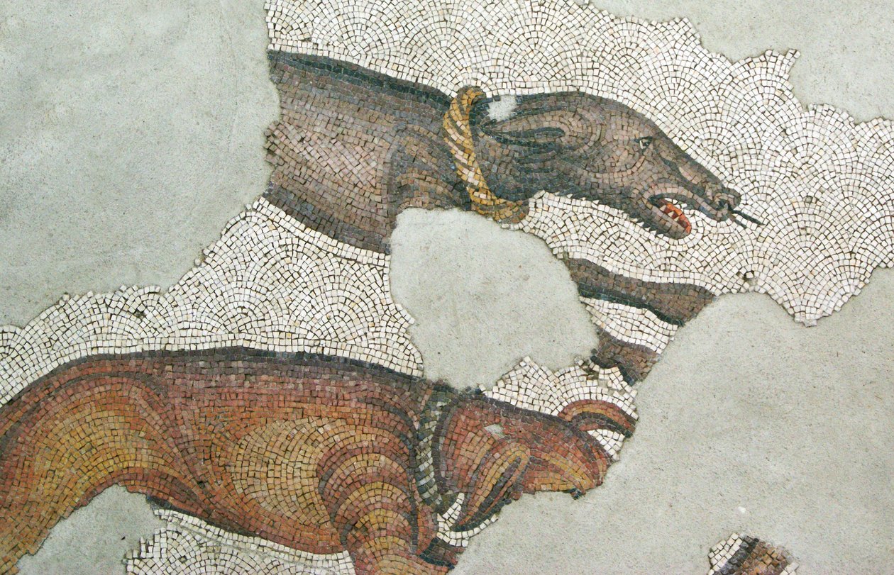 Imagen desconocida de Roman