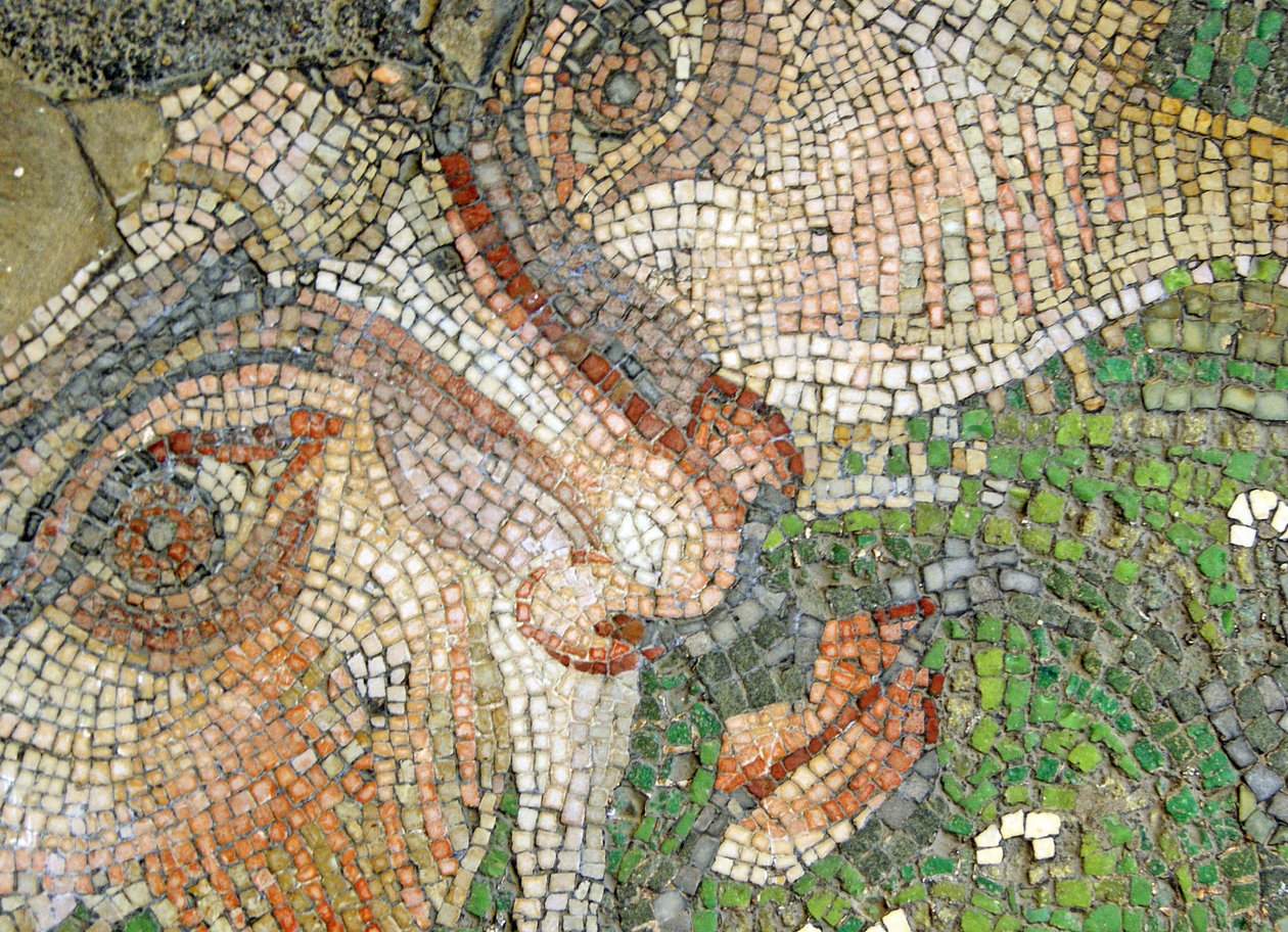 Imagen desconocida de Roman