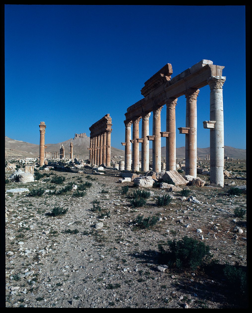 Vista de los restos de Palmira de Roman