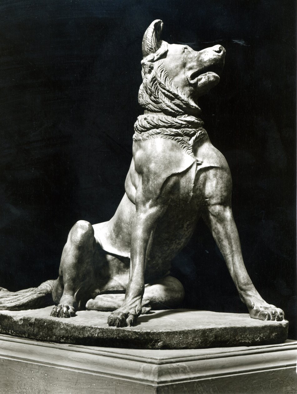Perro Bull Mastif de Roman Roman