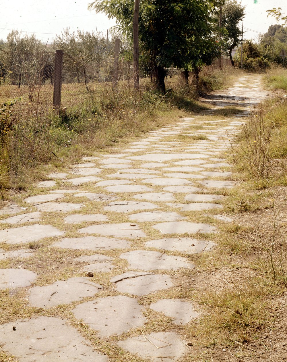 Via Flaminia, Roma de Roman Roman