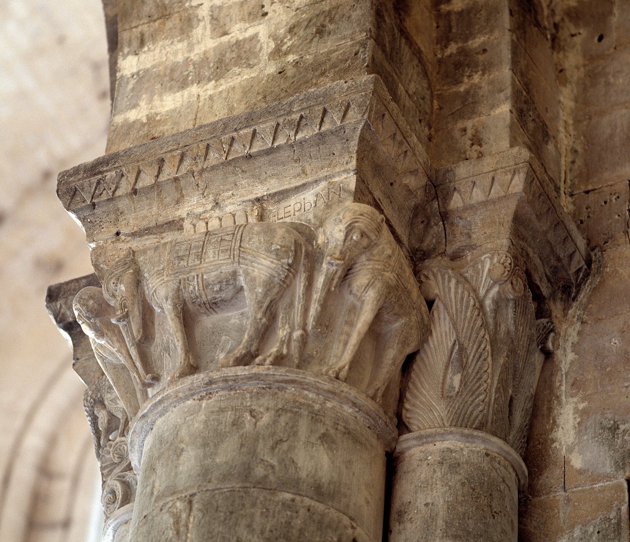 Elefantes (capitel tallado de la nave) de Romanesque
