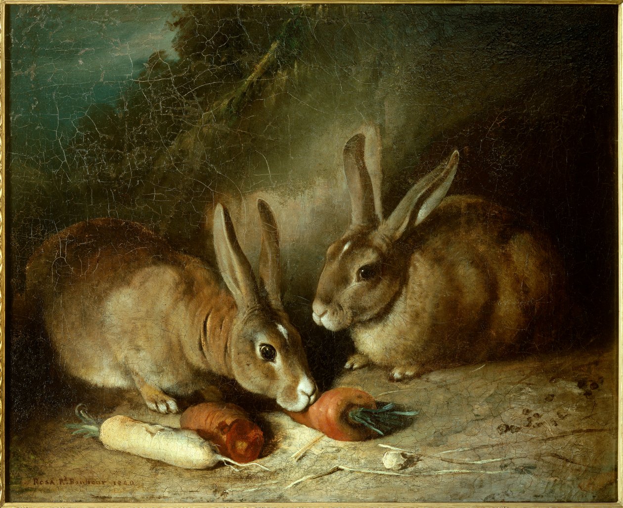 Conejos. Pintura de Rosa Bonheur (1822-1899) de Rosa Bonheur