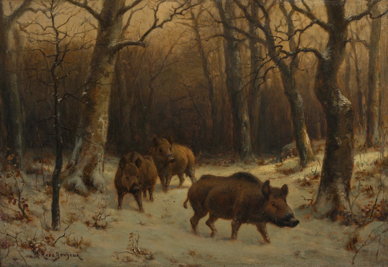 Wild Boars in the Snow de Rosa Bonheur