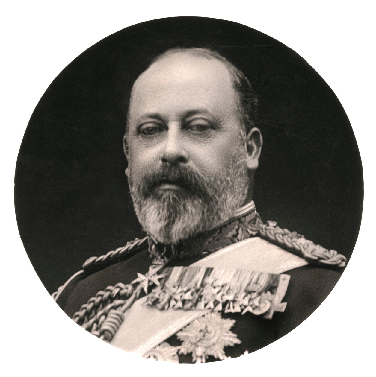 Rey Eduardo VII, siglo XX de Rotary Photo