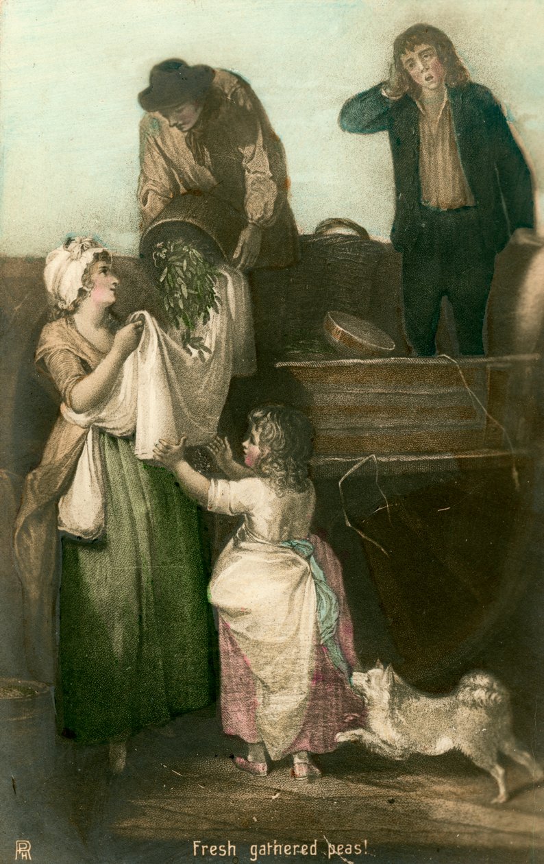 Guisantes recién recogidos de Rotophot