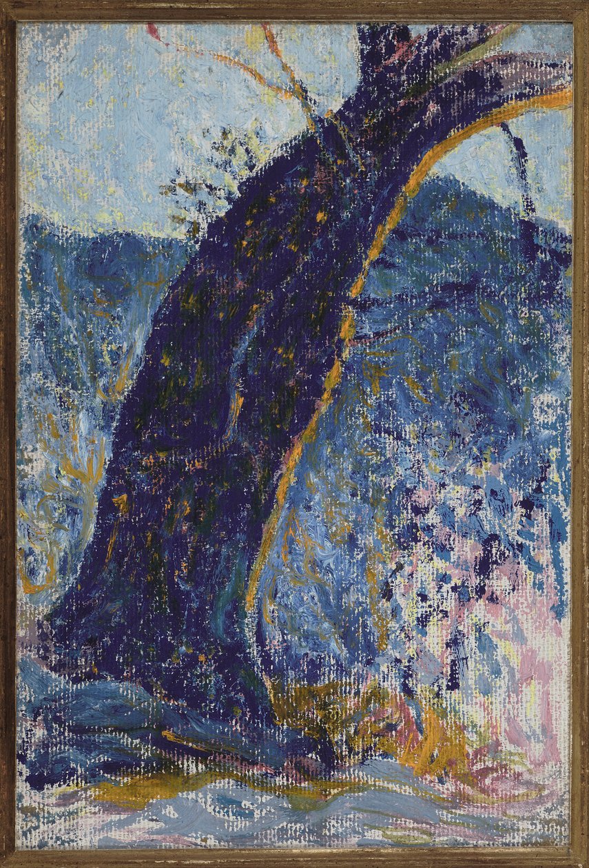 El Árbol Azul de Rubaldo Merello