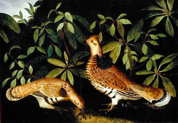 Dos Urogallos en el Matorral de Rubens Peale