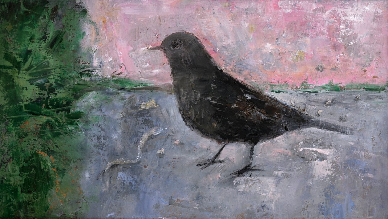 El pájaro madrugador, 2008 de Ruth Addinall