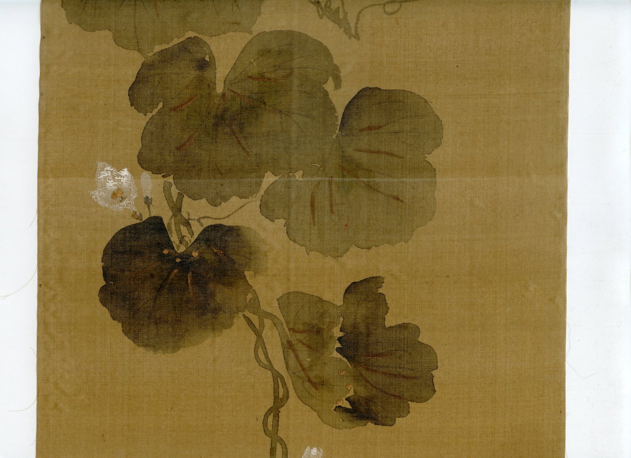 Colección Wittig. Pintura. Vid de calabaza en flor. Escuela Rinpa. Firma y sello de Sakai Hoitsu. Escaneo 04 de 07 de Sakai Hoitsu
