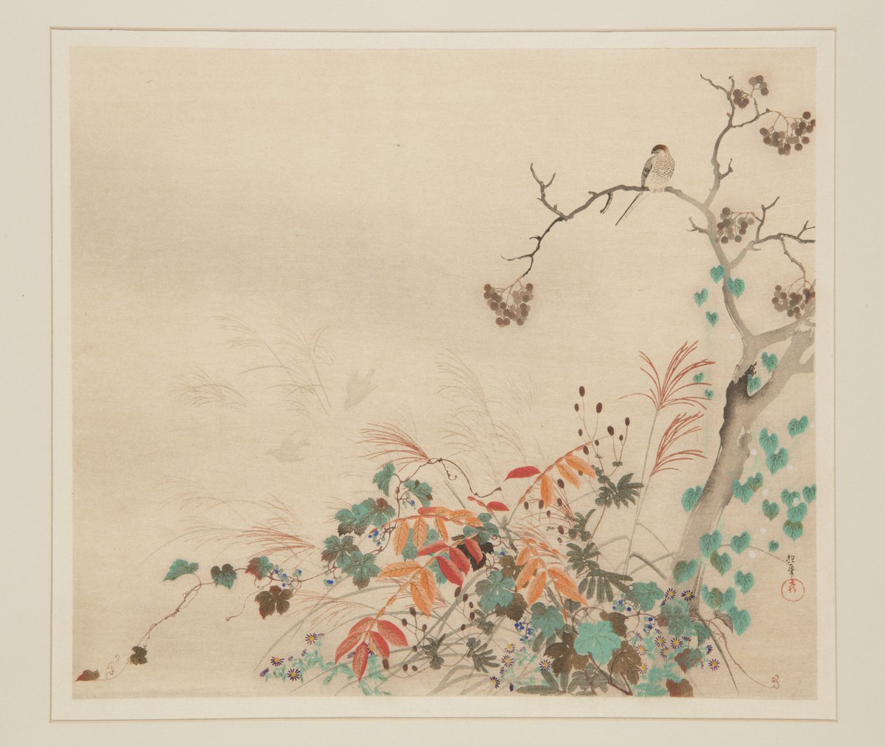 Halcón sobre plantas de Sakai Hoitsu