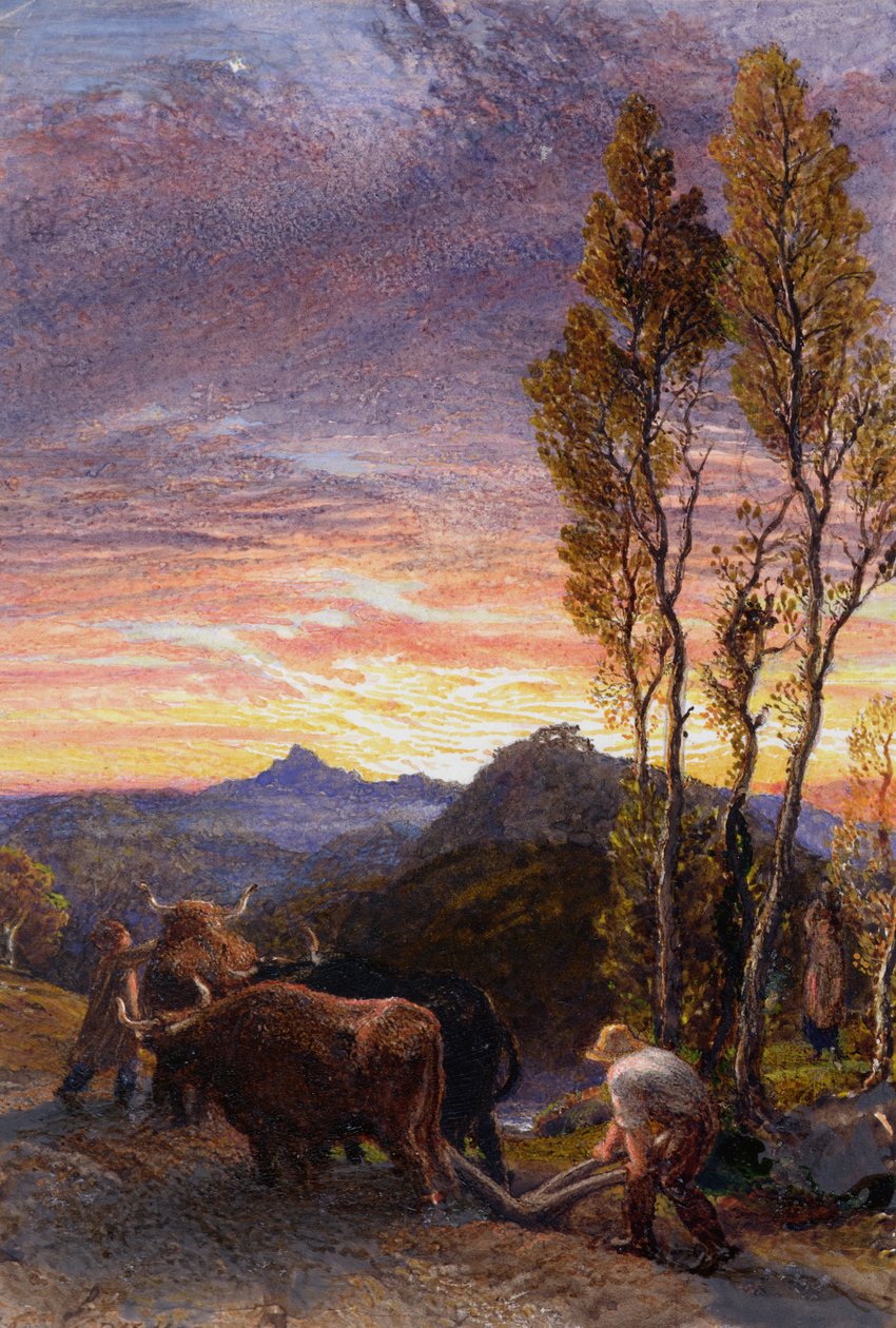 Bueyes arando al atardecer de Samuel Palmer