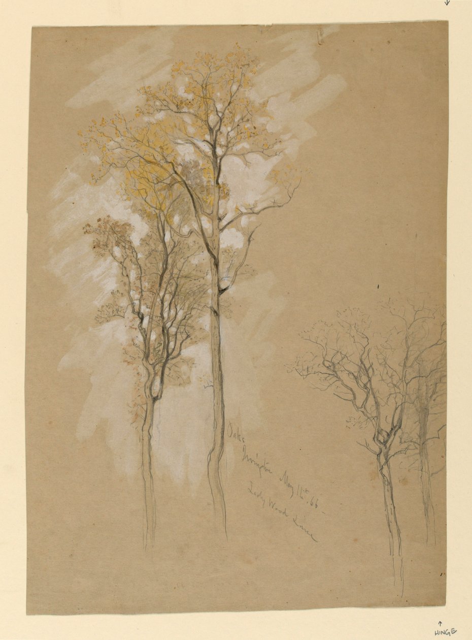 Robles, Lady Wood Lane, Irvington de Samuel Colman