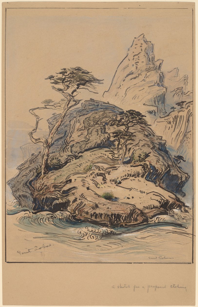 Point Lobos, California de Samuel Colman