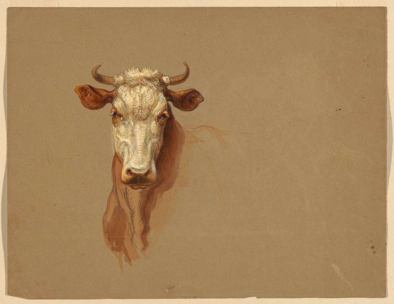 Dos Estudios de Ganado de Samuel Colman