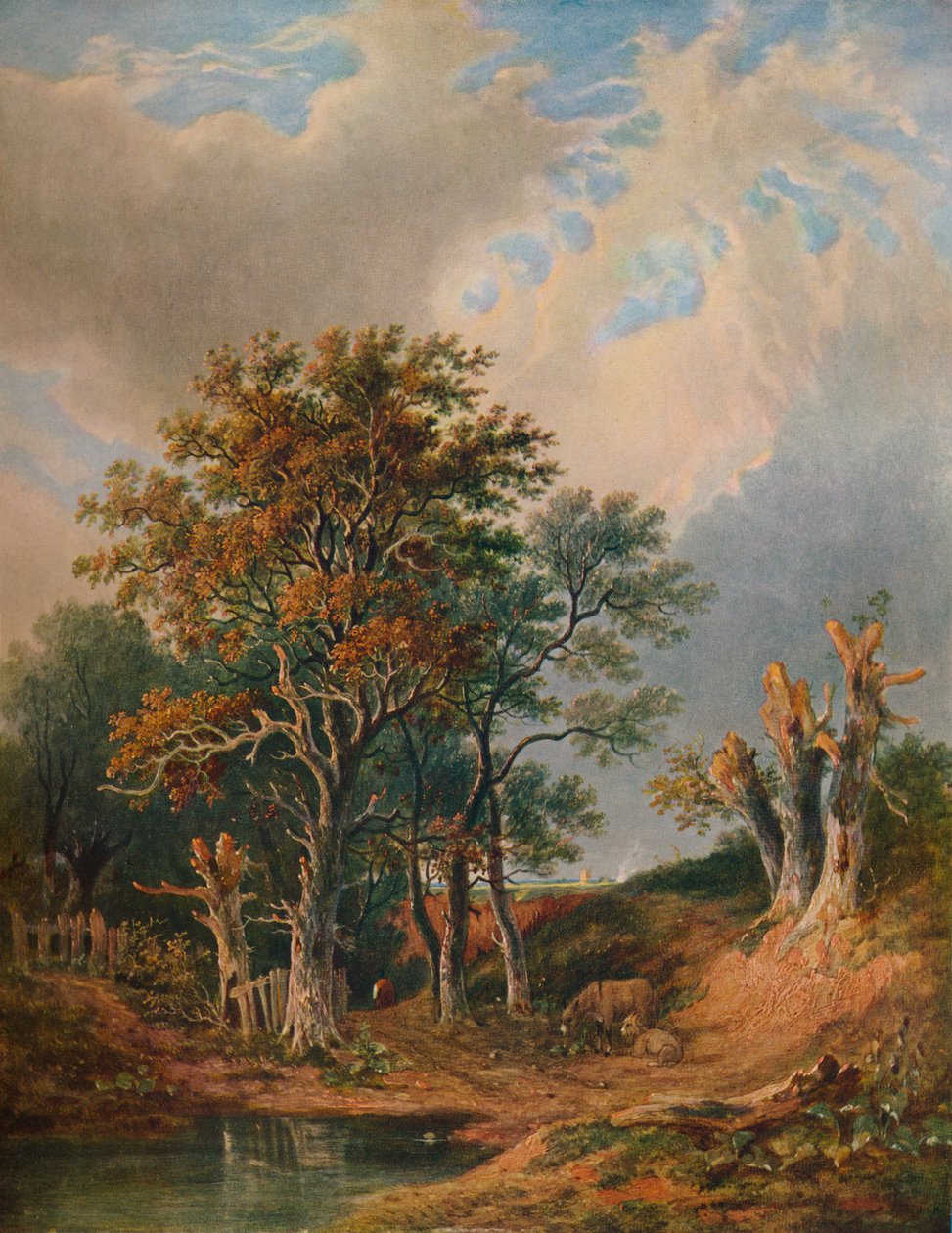 Paisaje, 1847 de Samuel David Colkett