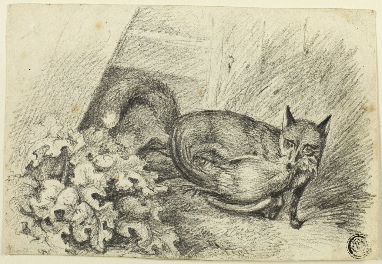 Zorro robando un gallo de Samuel Howett