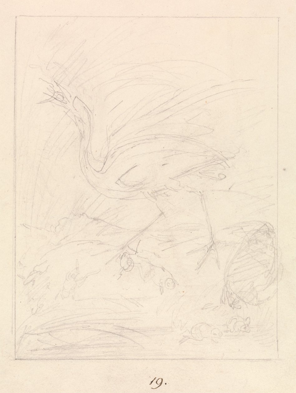 Grullas y ranas de Samuel Howitt