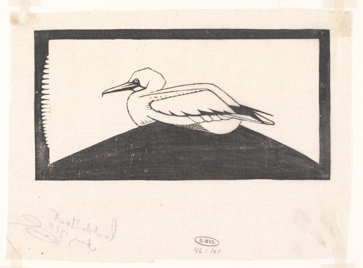 Gannet de Samuel Jessurun de Mesquita