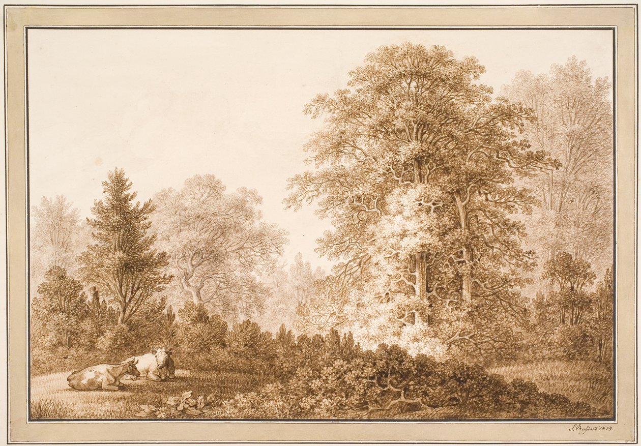 Paisaje forestal con dos vacas acostadas de Samuel Mygind