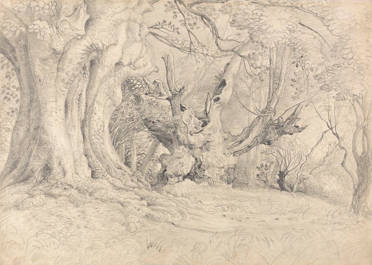 Árboles centenarios, Parque Lullingstone de Samuel Palmer