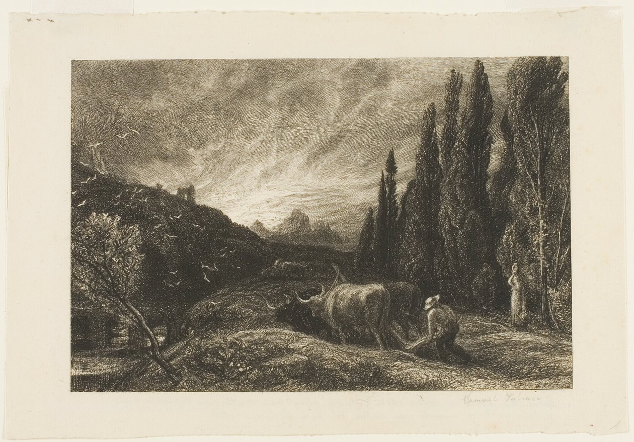 El Primer Labrador de Samuel Palmer