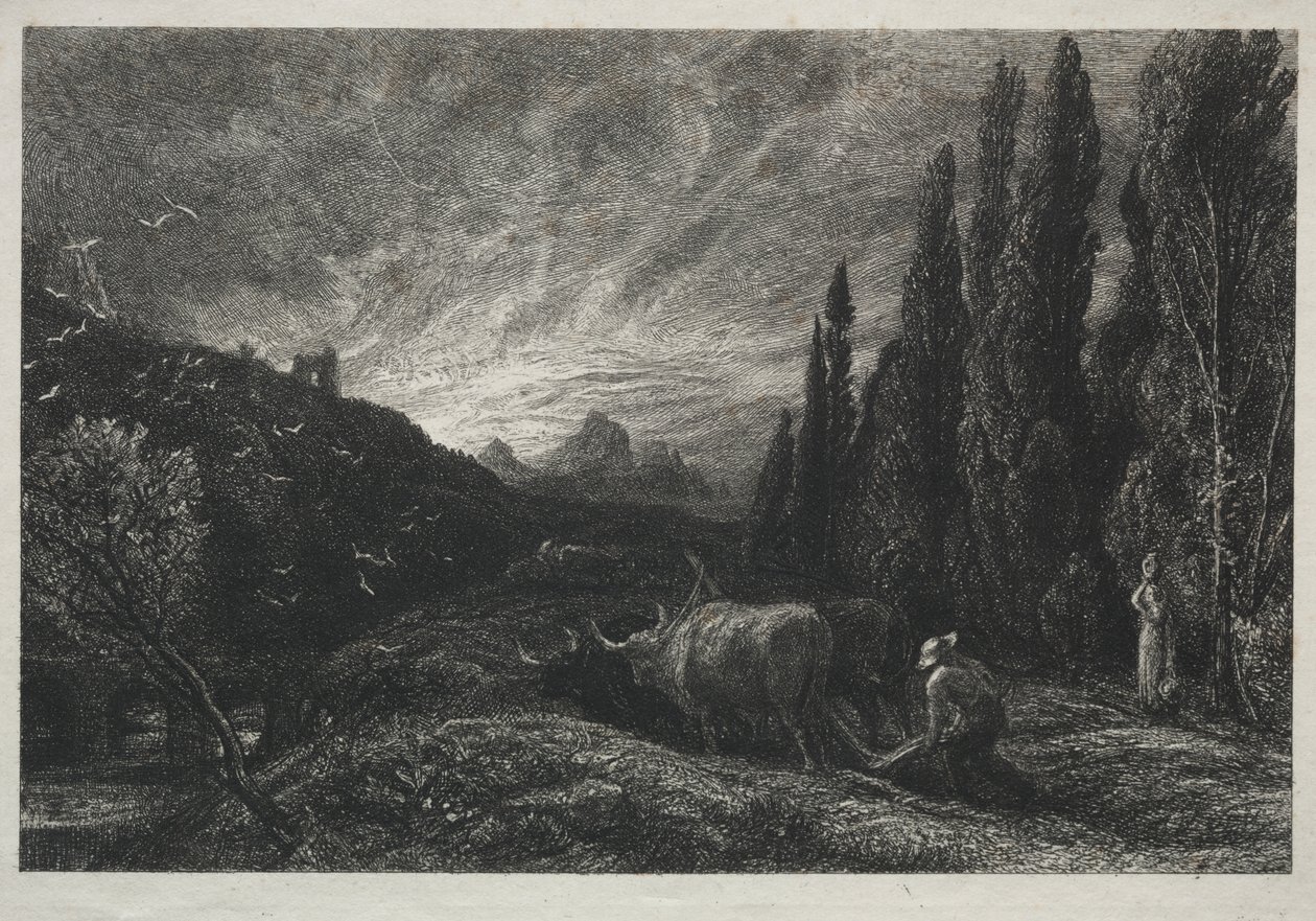 El primer labrador de Samuel Palmer