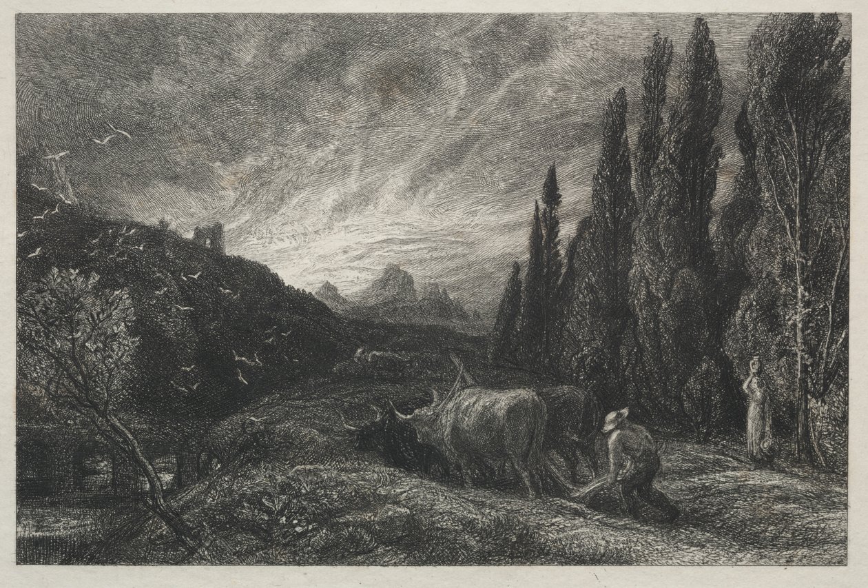 El Primer Labrador de Samuel Palmer
