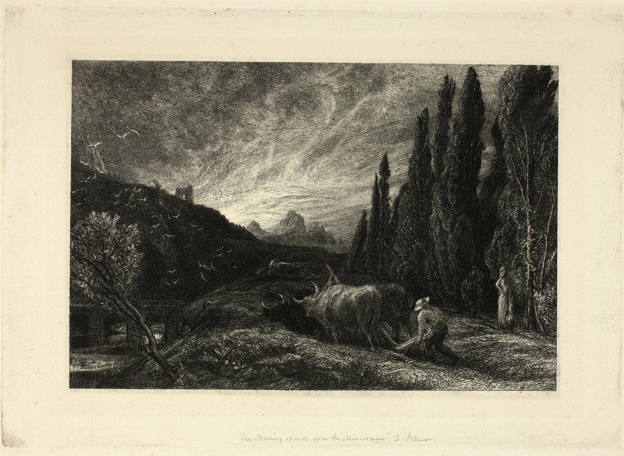 El primer labrador de Samuel Palmer