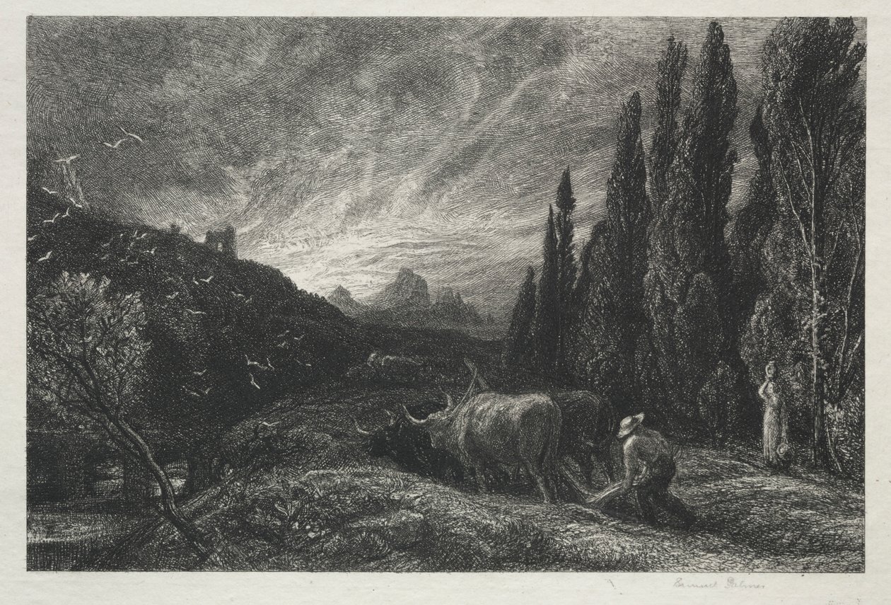 El primer labrador de Samuel Palmer