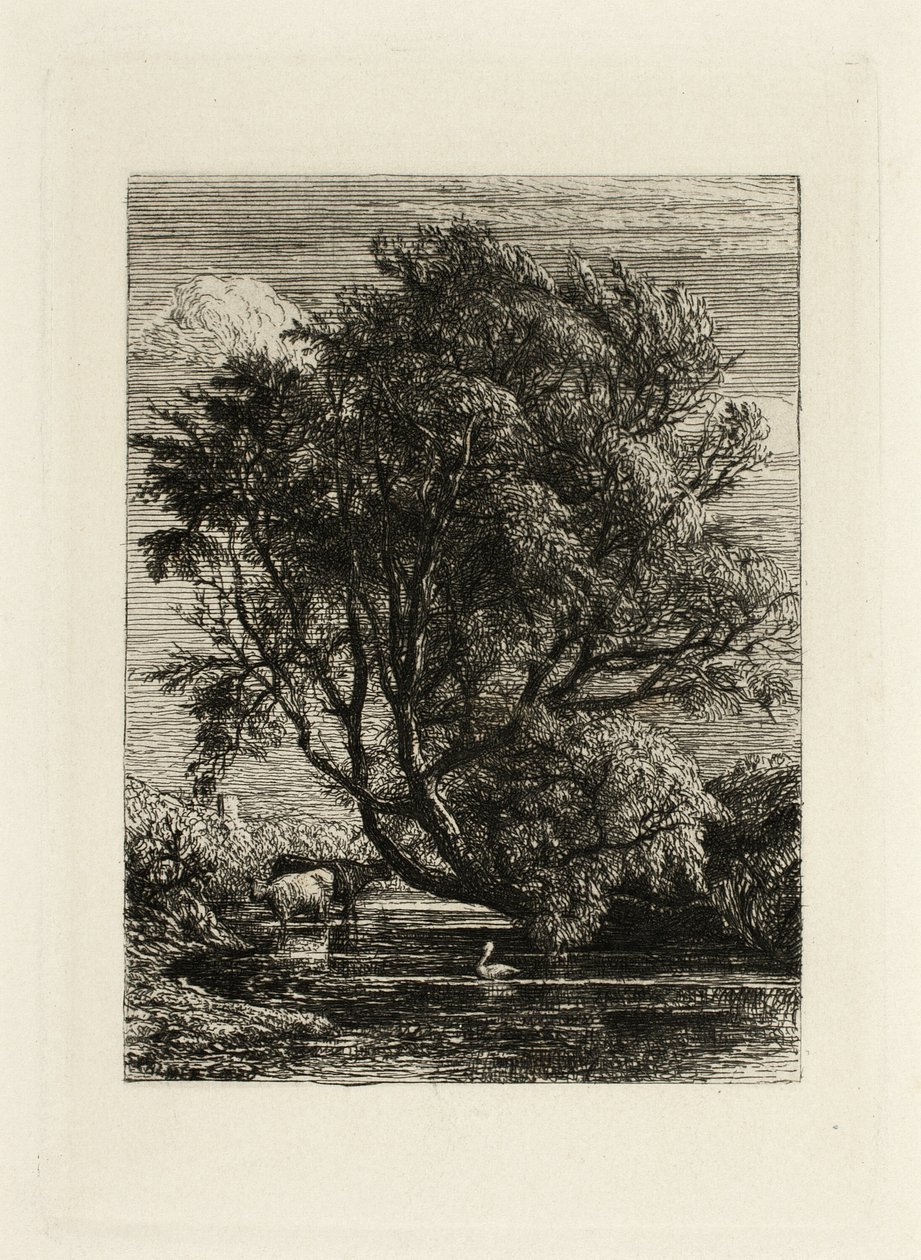 El Sauce de Samuel Palmer