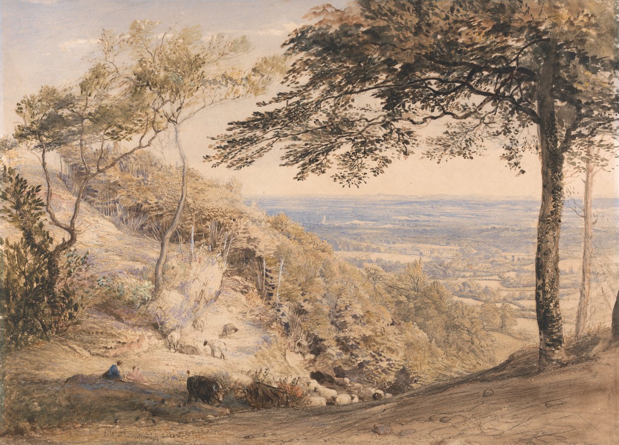 Wilmot