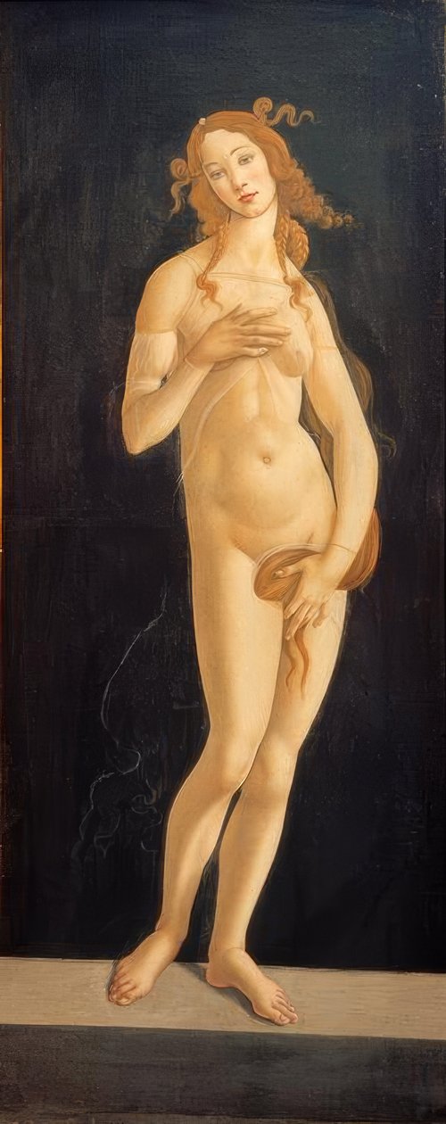 Venus de Sandro Botticelli