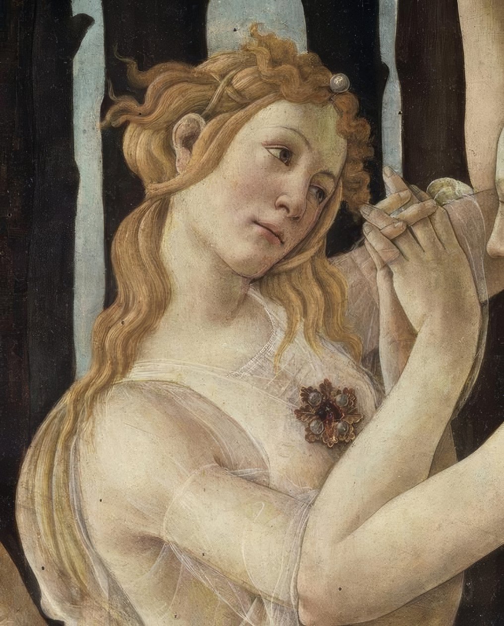 La Primavera de Sandro Botticelli